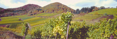 Pano.-Herbst